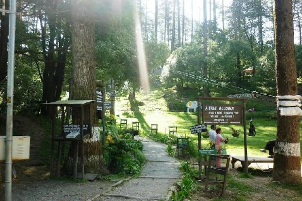 dhanaulti