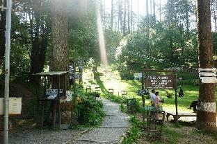 dhanaulti