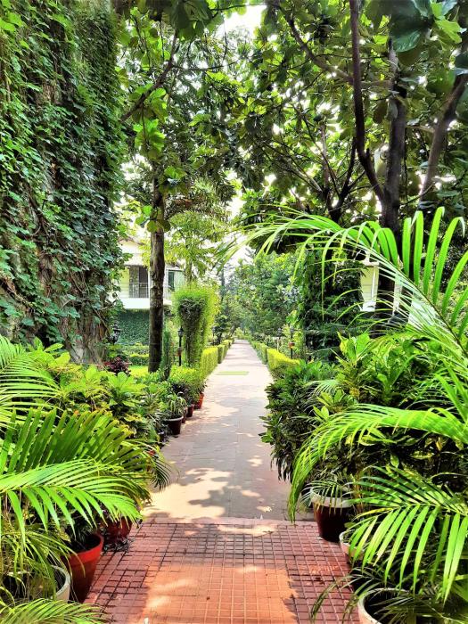 wood castle spa and resort