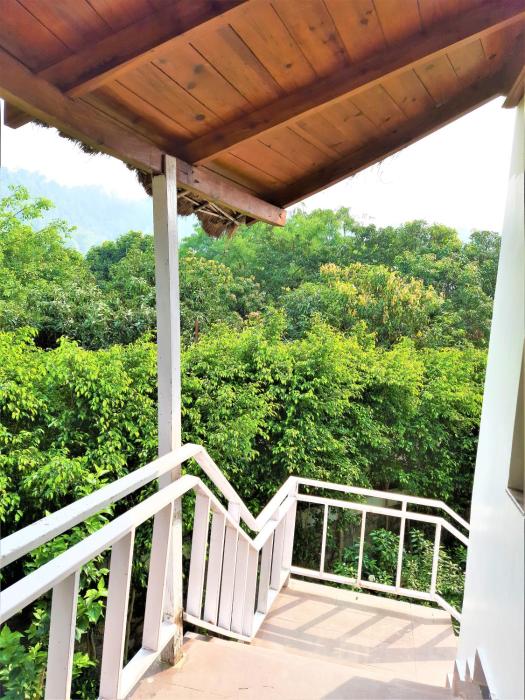 wood castle spa and resort