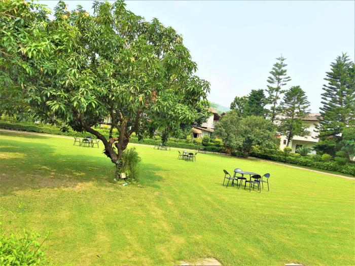 wood castle spa and resort