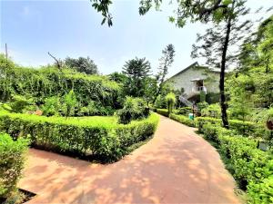 wood castle spa and resort