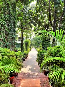 wood castle spa and resort