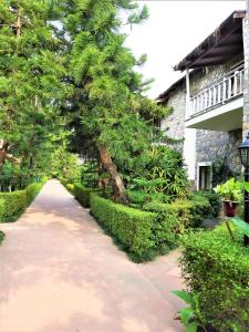 wood castle spa and resort