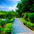 corbett wild resort a river access property