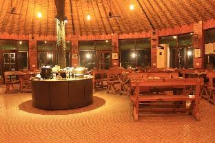jim corbett ramnagar