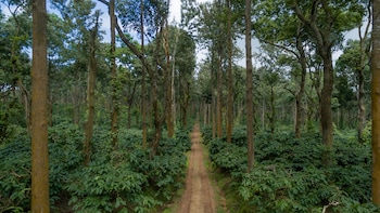 chikkamagaluru