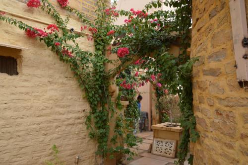 hotel desert boys royal stay on fort