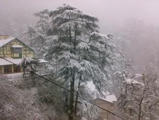 shimla