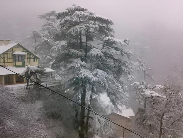 shimla