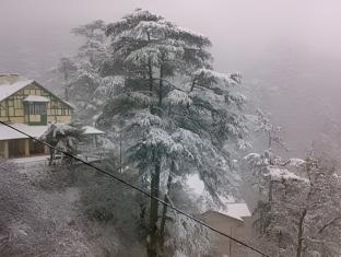 shimla