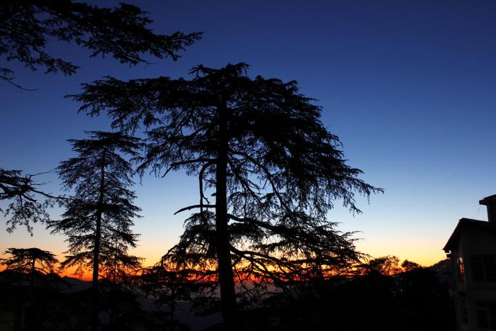 shimla
