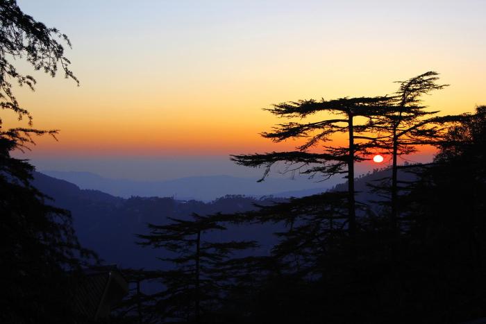 shimla