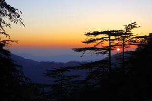shimla