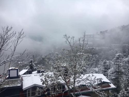 shimla