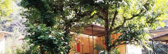 river valley resort rishikesh