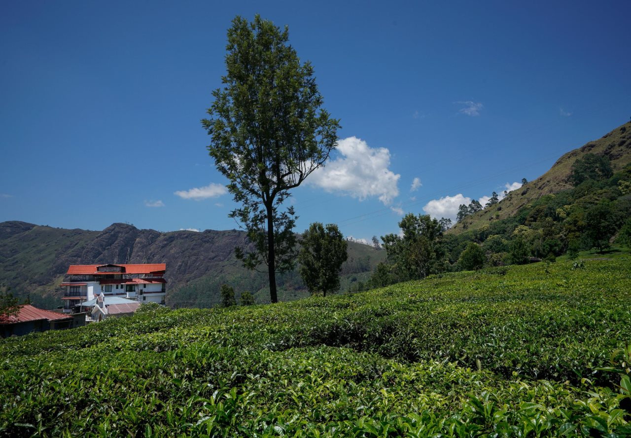 munnar