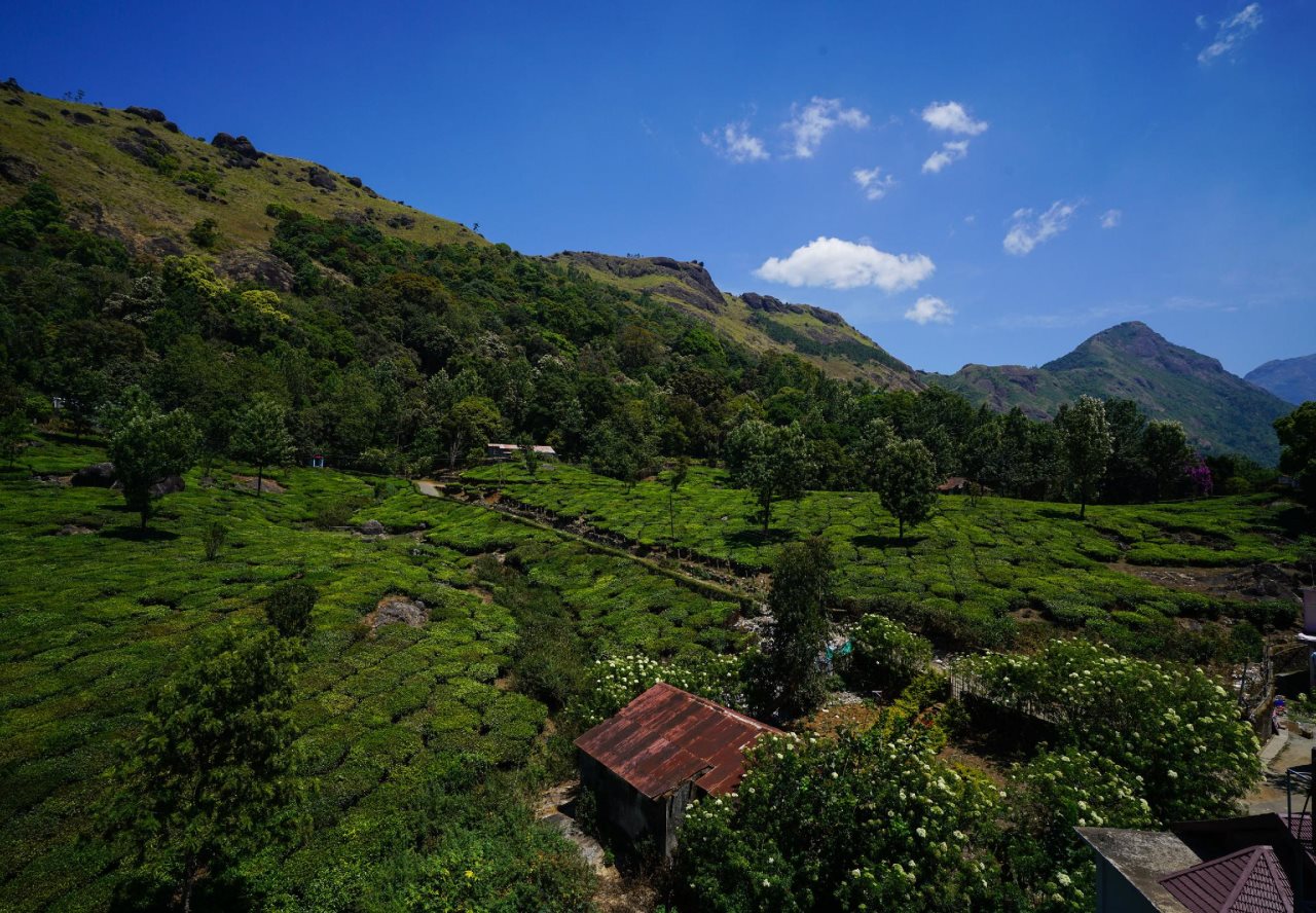 munnar