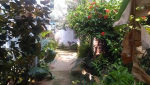 greenwood beach resort