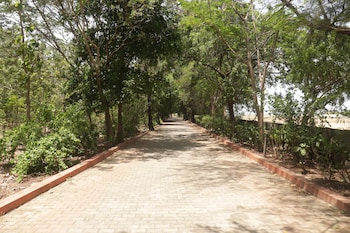 golden sun beach resort