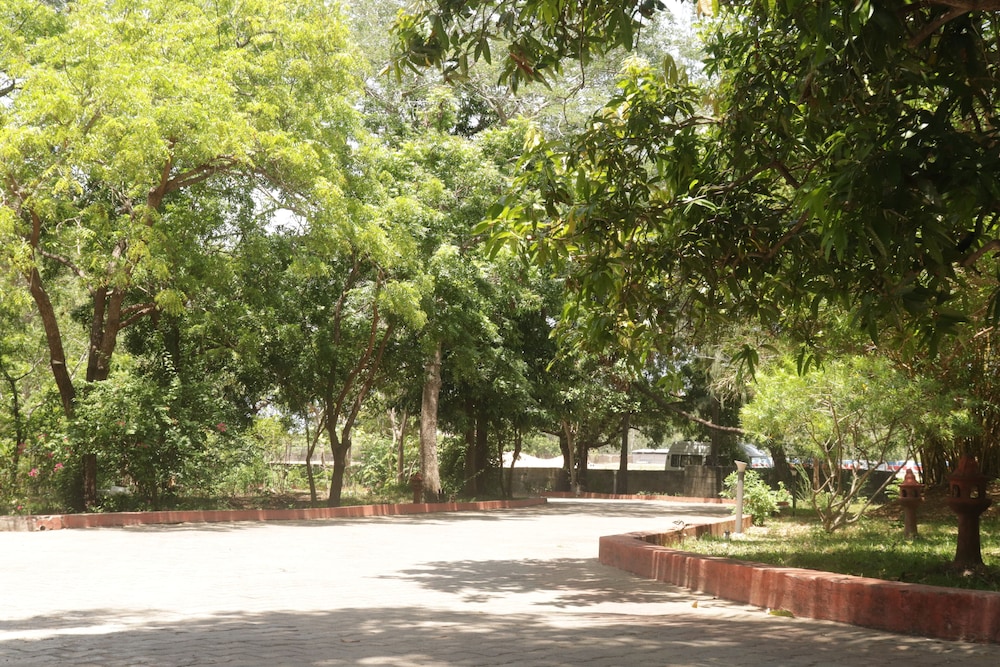 golden sun beach resort