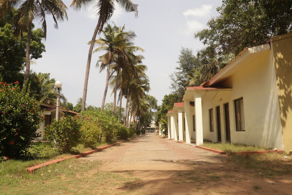 golden sun beach resort