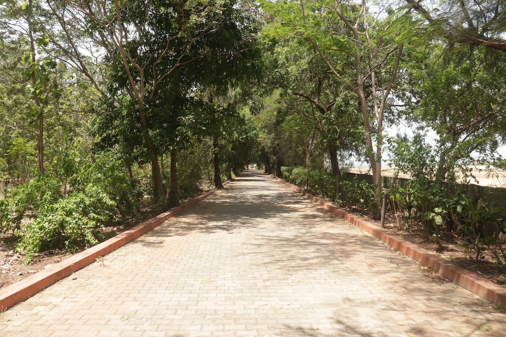 golden sun beach resort