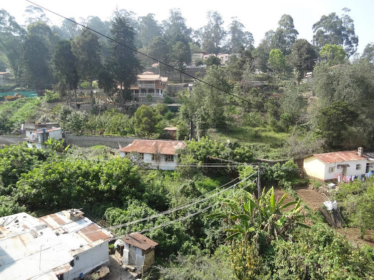 kodaikanal