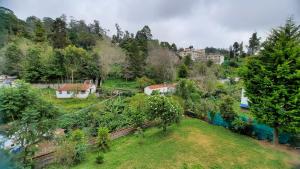 kodaikanal