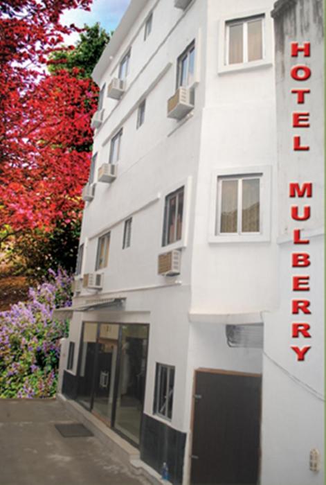 Hotel Mulberry