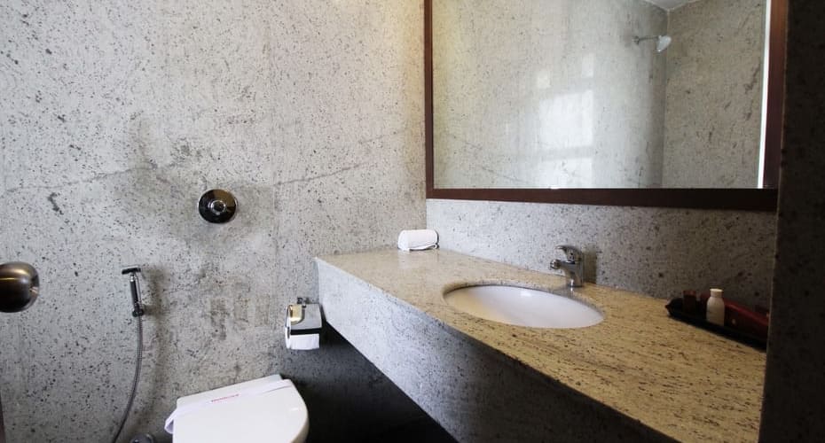 hotel varanasi palace varanasi