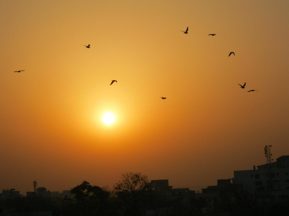 jaipur