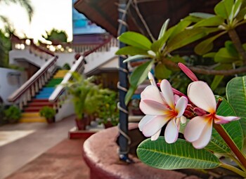 hotel viva calangute