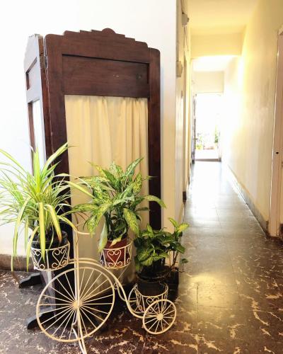 margao