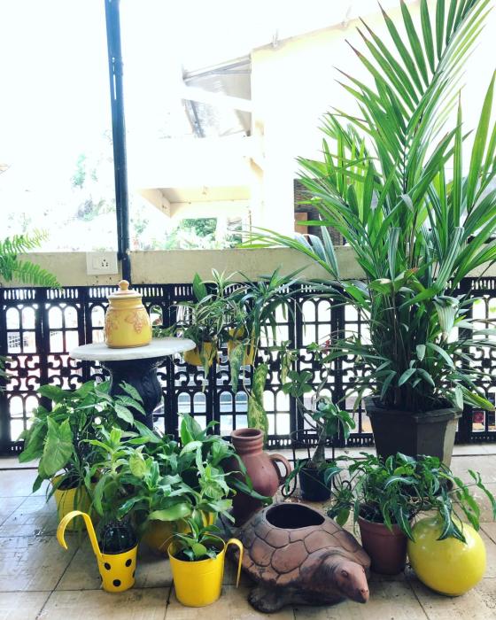 margao