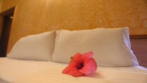 calangute residency