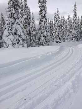 kallan hotell spa konferens