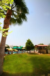 petsas apartments and tavern