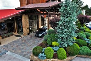 Hotel-Img