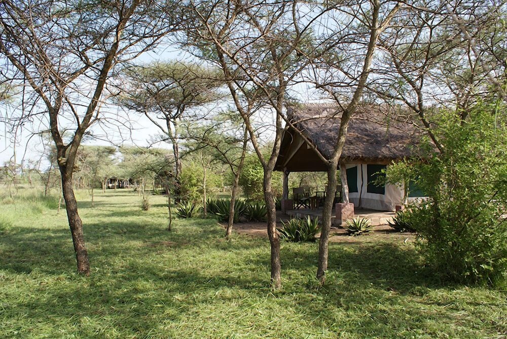 ikoma tented camp