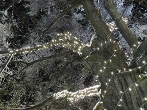 Hotel Villa Boyana,Sofia-City>>Sofia,3 star