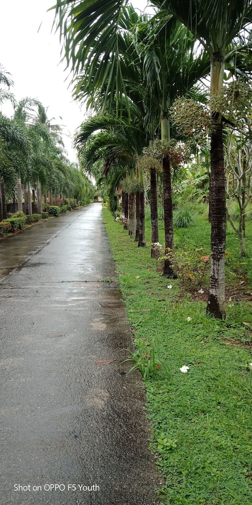 d r lanta bay resort