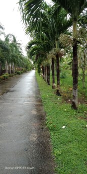 d r lanta bay resort