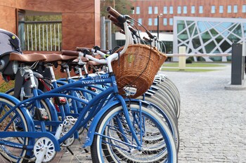 hotel narvil conference and spa