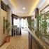 teona hotel