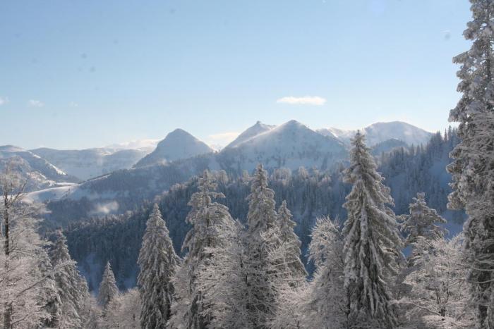 hintersee