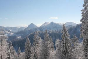 hintersee