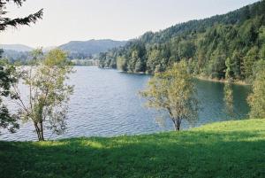 das hintersee