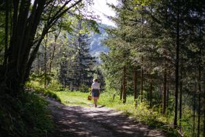 Hueber Der Wirt,Lower Austria>>Emmersdorf An Der Donau,2 star
