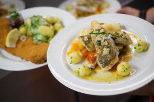 hotel bergwirtschaft bieleboh